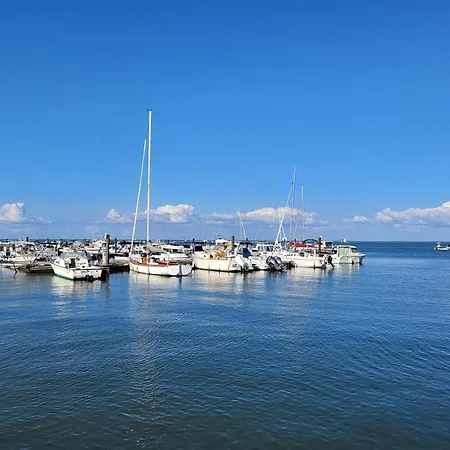 Vue Bassin - Carpe Diem *