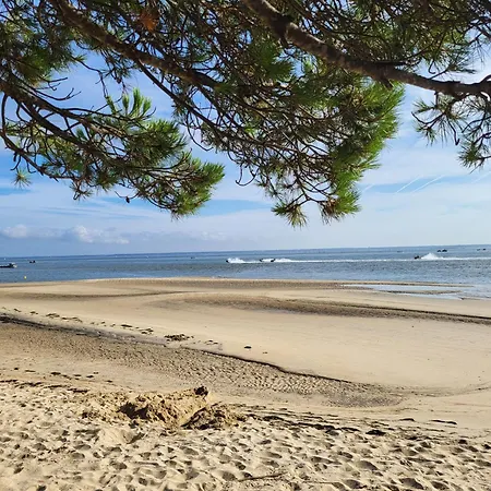 Vue Bassin - Carpe Diem Arcachon